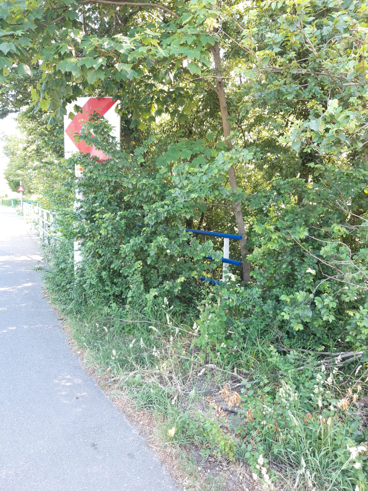 WhatsApp Image 2020-07-02 at 14.39.15.jpeg