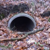 dassentunnel onder weg naar spoor